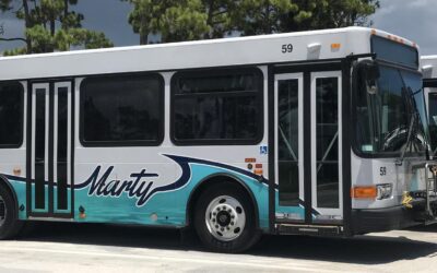 Why do we have those Marty buses if they are always empty?